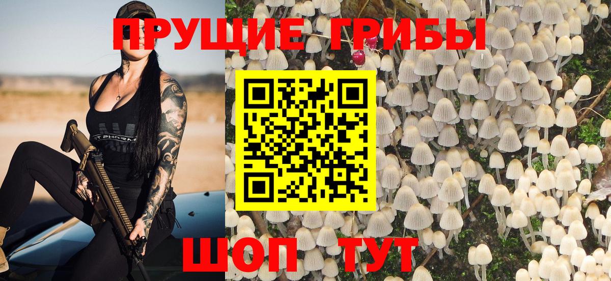 Псилоцибиновые грибы мицелий  Галлюциногенные грибы Psilocybe  Вход с VPN  Малоярославец 